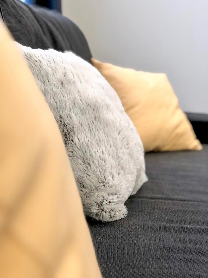 Deluxe Design - City Center Cosy Apartments 科尔马 外观 照片